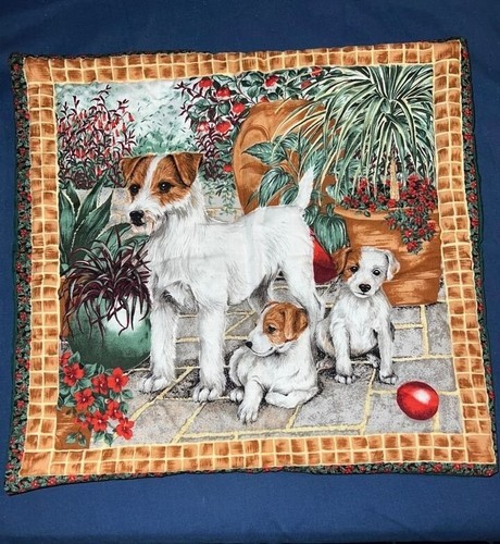 Jack russell terrier - jack,