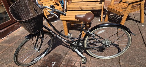 Ammaco classique dutch - ammaco,