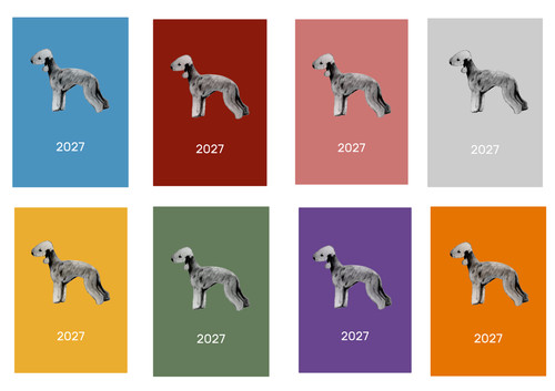 Bedlington terrier 2027 - bedlington, diary