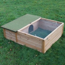 Tortoise Small Pet Wooden