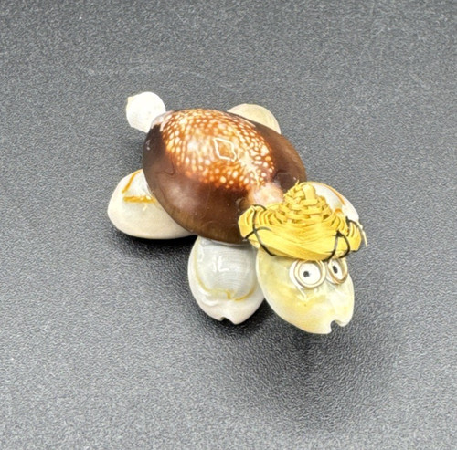 Super cute shell art turtle - shell,