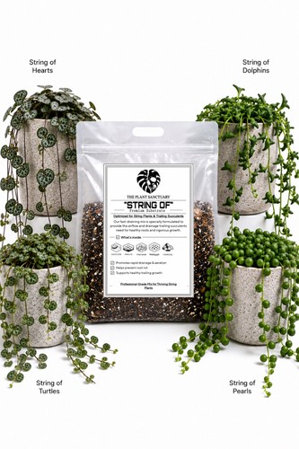10l bioactive string - bioactive, pearls