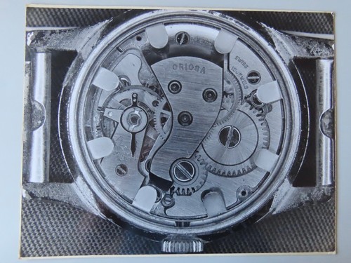 Oriosa watch movement - watch,