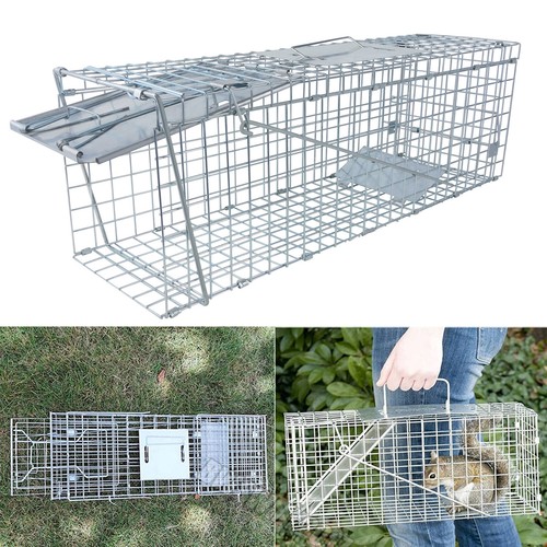 Live animal cage trap rabbit - animal,