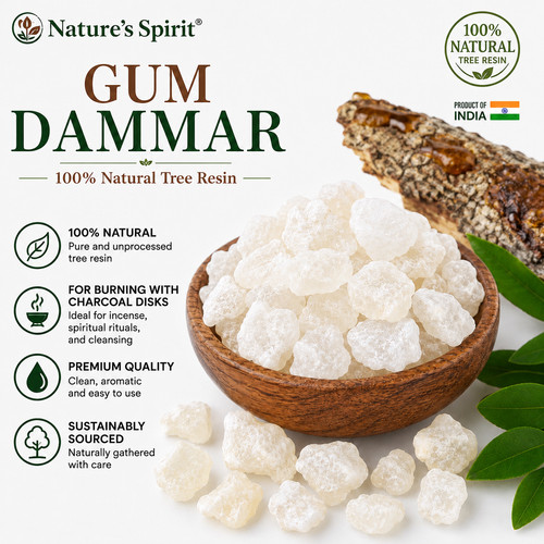 Gum dammar damar - dammar-damar-tree, resin