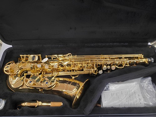 Yanagisawa wo10 alto - a-wo10,