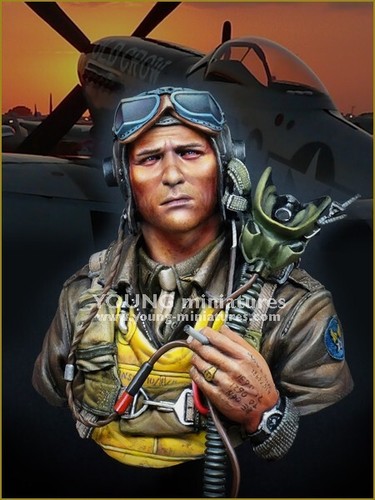 Young miniatures usaaf - miniatures,