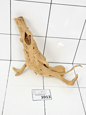 Premium Natural Aquarium