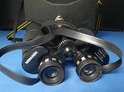 Pair vintage miranda - of, wide