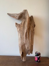 Driftwood piece very heavy - piece,
