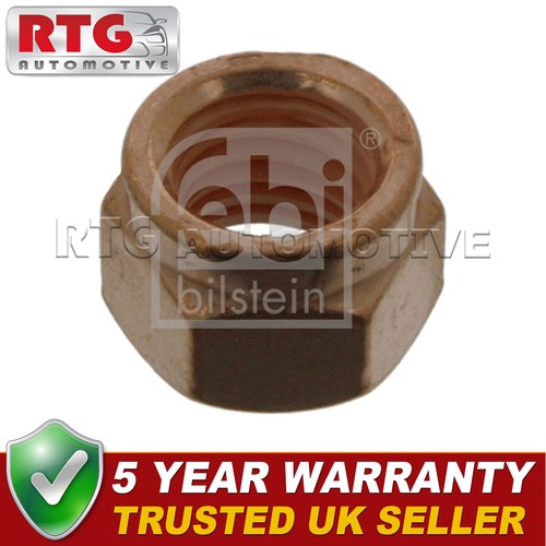 Exhaust manifold nut - manifold,