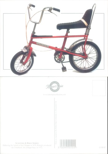 Raleigh tomahawk bike - bike, robert
