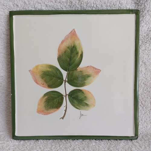 Vintage hand painted botanical - hand,