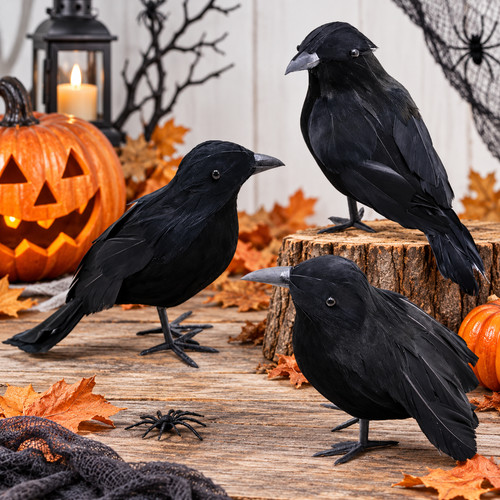 Realistic black crow halloween - realistic,