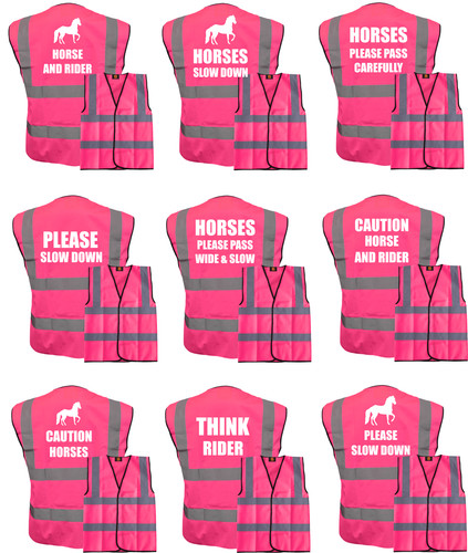 Horse riding vis - horse, hi