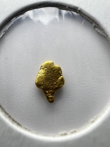Gold nugget hand - hand, from