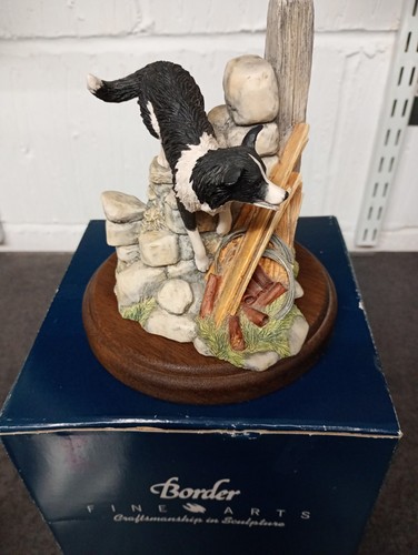 Border fine arts collie bob - border, collie"