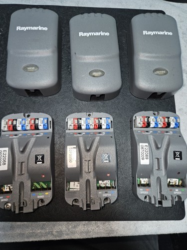 Raymarine