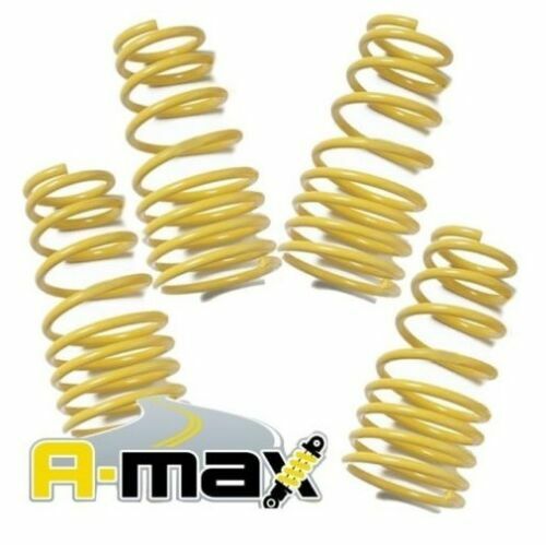 Max suspension lowering - a-max,