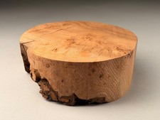 Burr Elm Wood Turning  Bowl Blanks 8x3 inch 1.7 KG