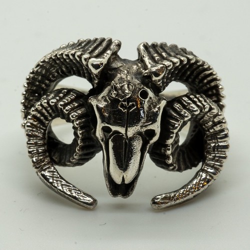 Ram head skull - head,