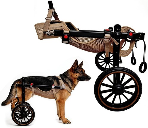 Dog wheelchair for back legs - dog,