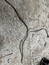 Kawasaki Klf 300 400 Front Brake Pipes Flexi 