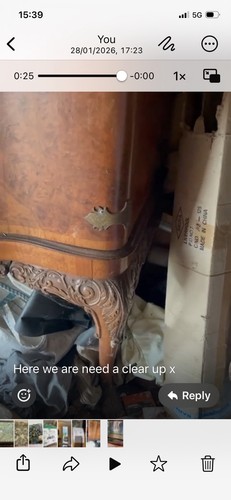 Georgian drinks cabinet - drinks,