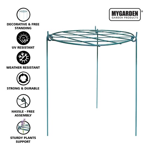 Garden plant support - plant,