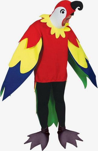 Adult polly parrot bird animal - adult,