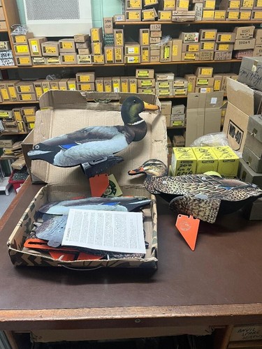 Mallard duck decoys set of - -,