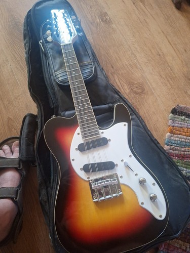 Electric mandolin - electric,