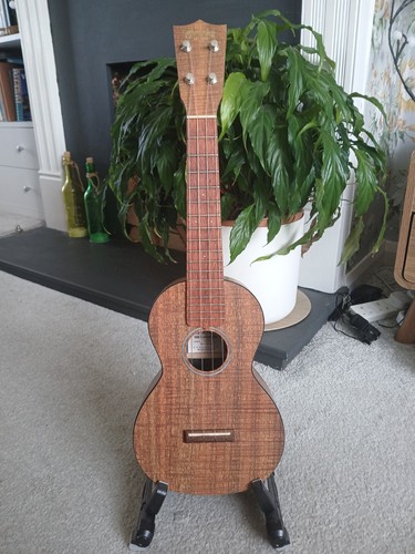 Martin oxk concert - martin, ukulele