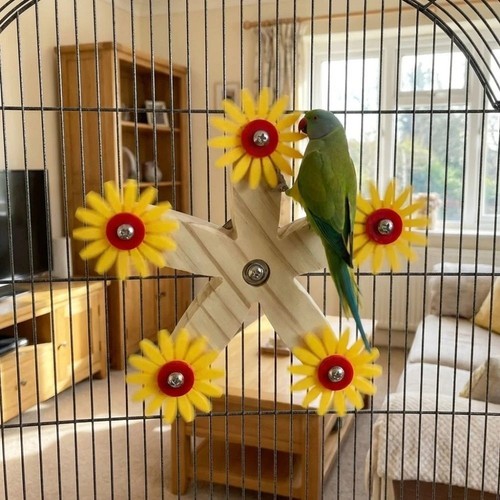With bearings wooden parrots - bearings,
