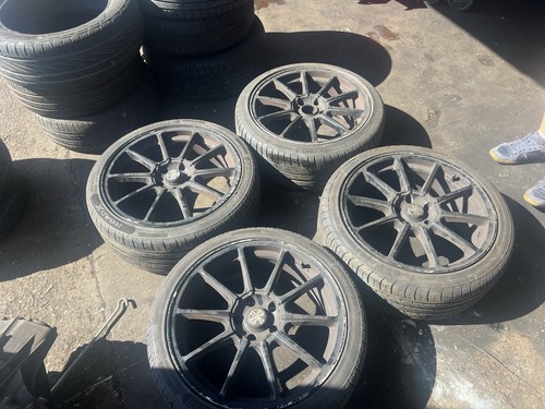 Set wolfrace prolite - set,