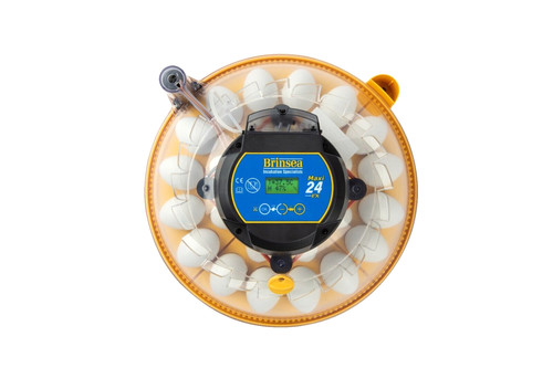 Brinsea maxi egg - 24,