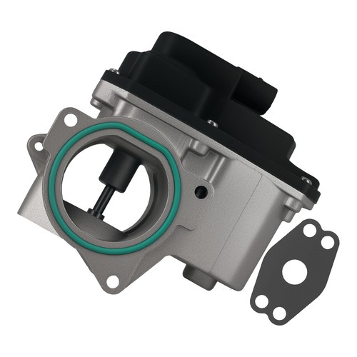 Egr valve for - egr,