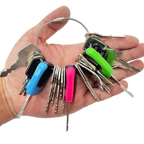 Master plant key - 22,