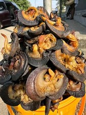 Oven Dried Snails, Large, Medium&small Size Fresh Nigerian Quality 10pcs