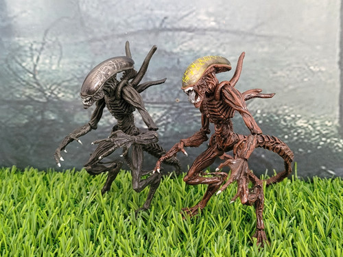 Hot toys alien predator - alien,