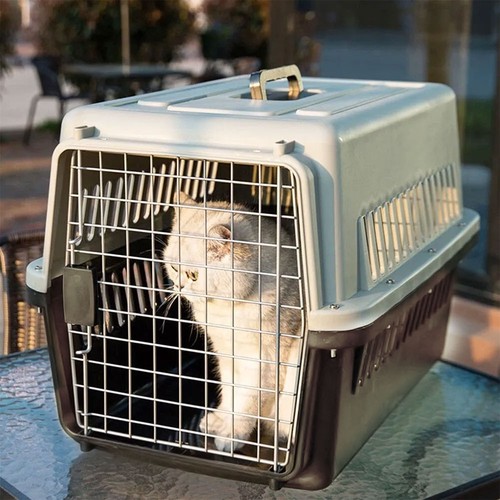 New large pet - large, carrier