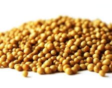 bamboo fertilizer SUPER FOOD