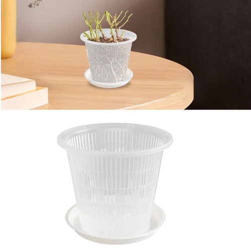 5pcs clear plastic orchid - 1-5pcs,