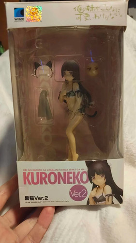 Beach queens anime kuroneko - beach,
