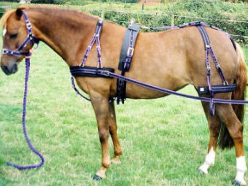 Libby ultimate webbing - libby's,