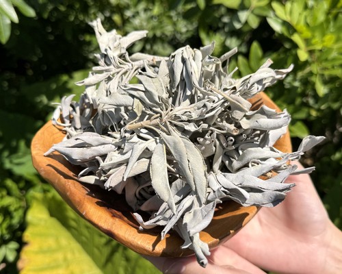 Loose white sage smudge - 1,