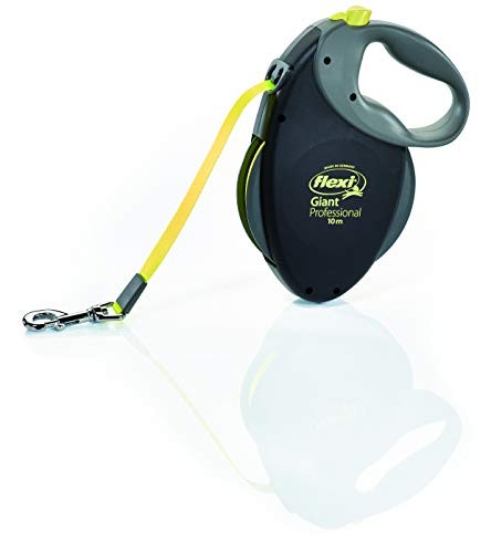Flexi giant tape - flexi, 10m