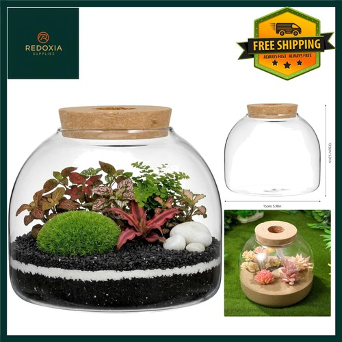 Elegant led glass - elegant, terrarium