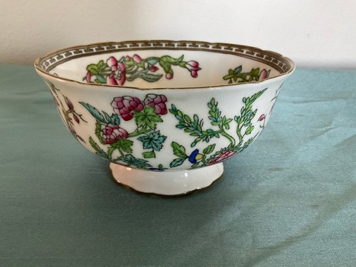Coalport indian tree bone - coalport,