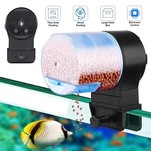 Fish tank auto - auto, smart